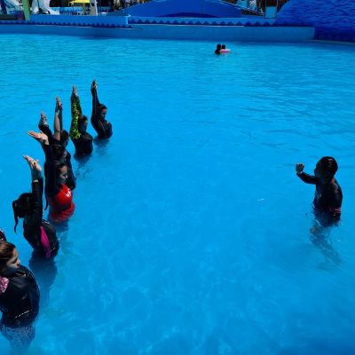 viber_image_2021-03-10_19-30-25_