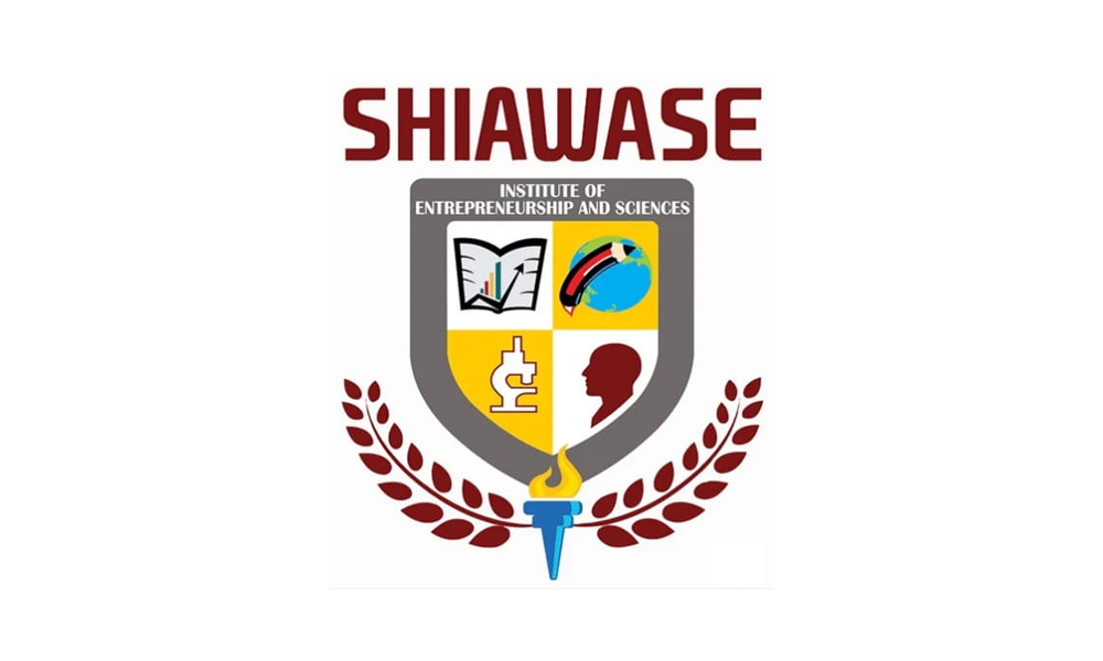 Institute of Entrepreneurship and Sciences